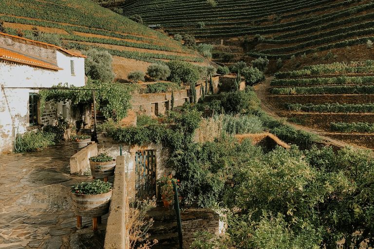 Vallée du Douro
