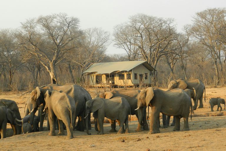 Parc national de Hwange
