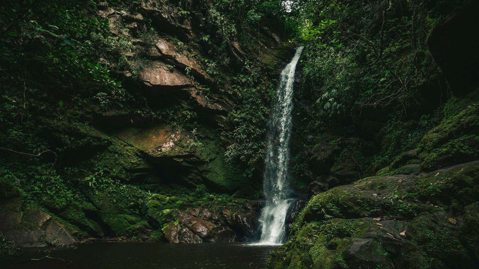 THLT LCX on Unsplash