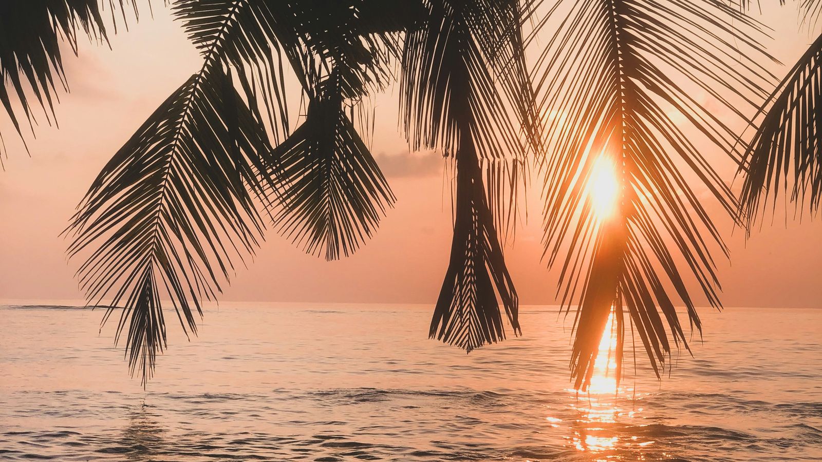 Ahmed Saeed on Unsplash