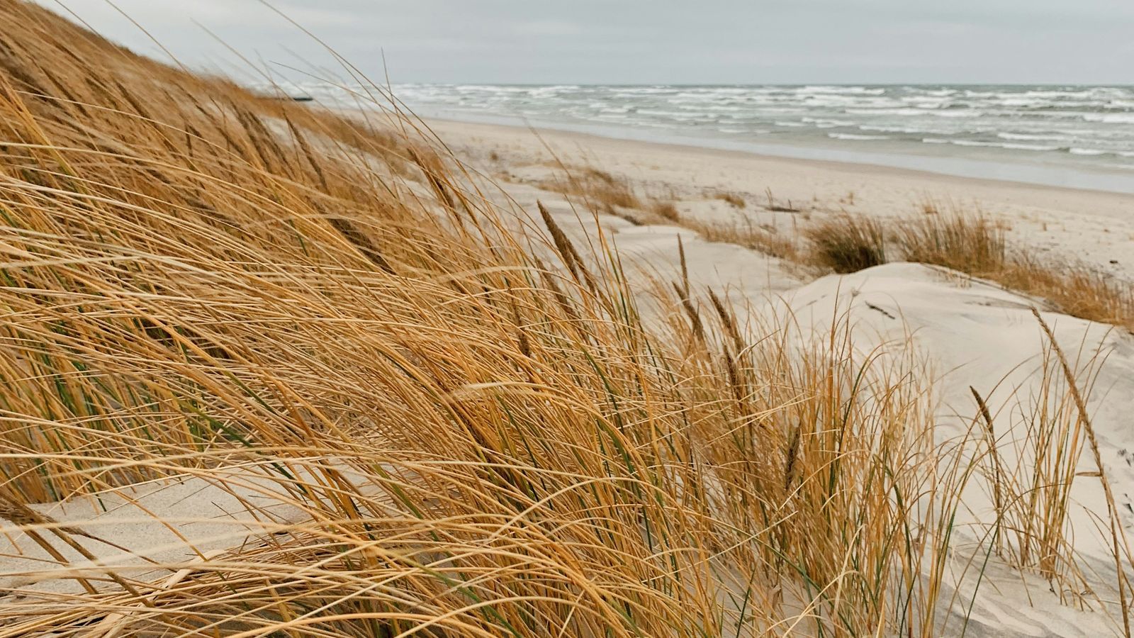 Irina Shishkina on Unsplash