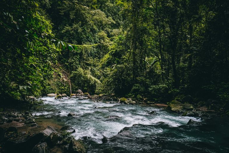 Tortuguero