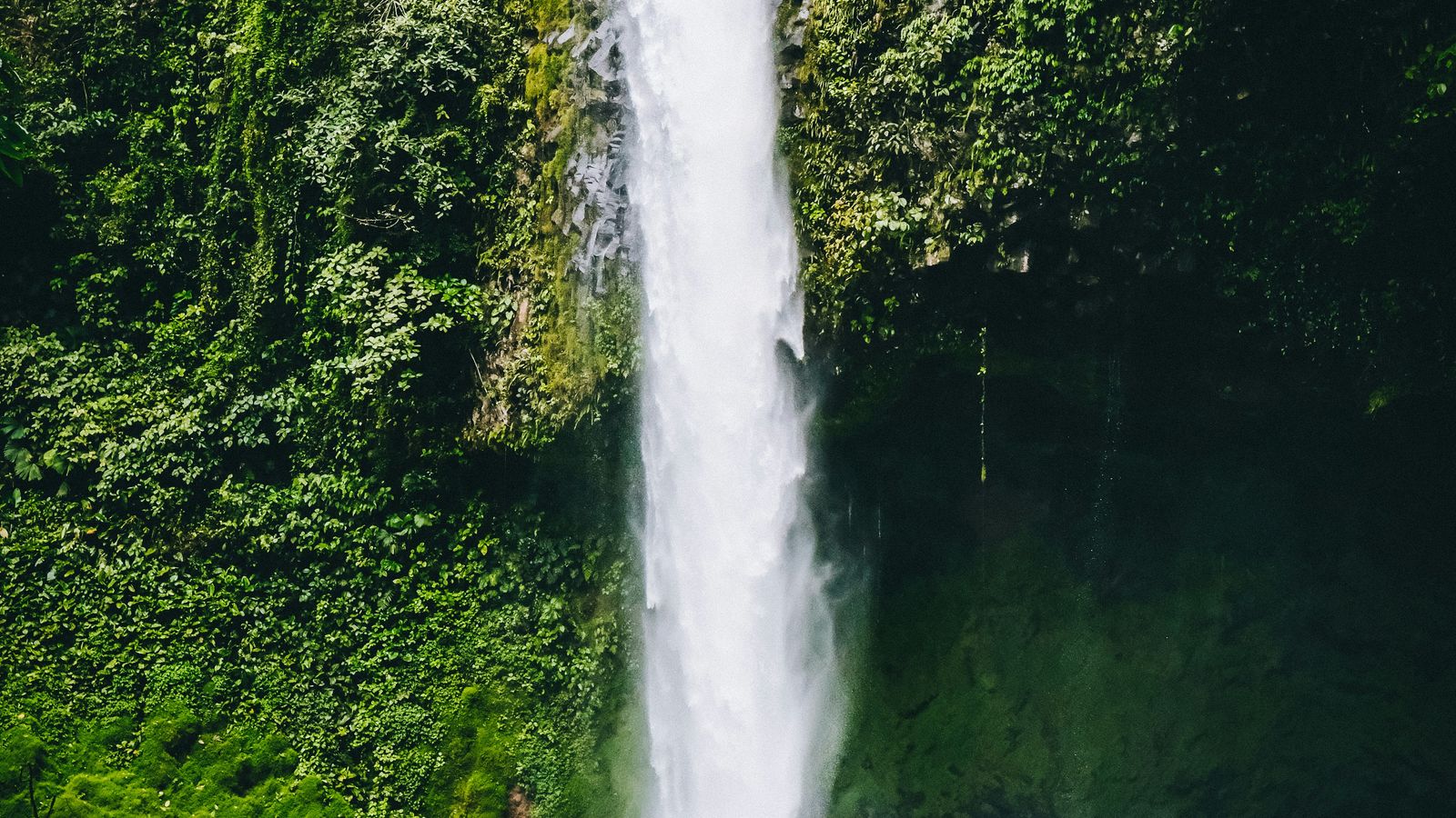 Fabio Fistarol on Unsplash