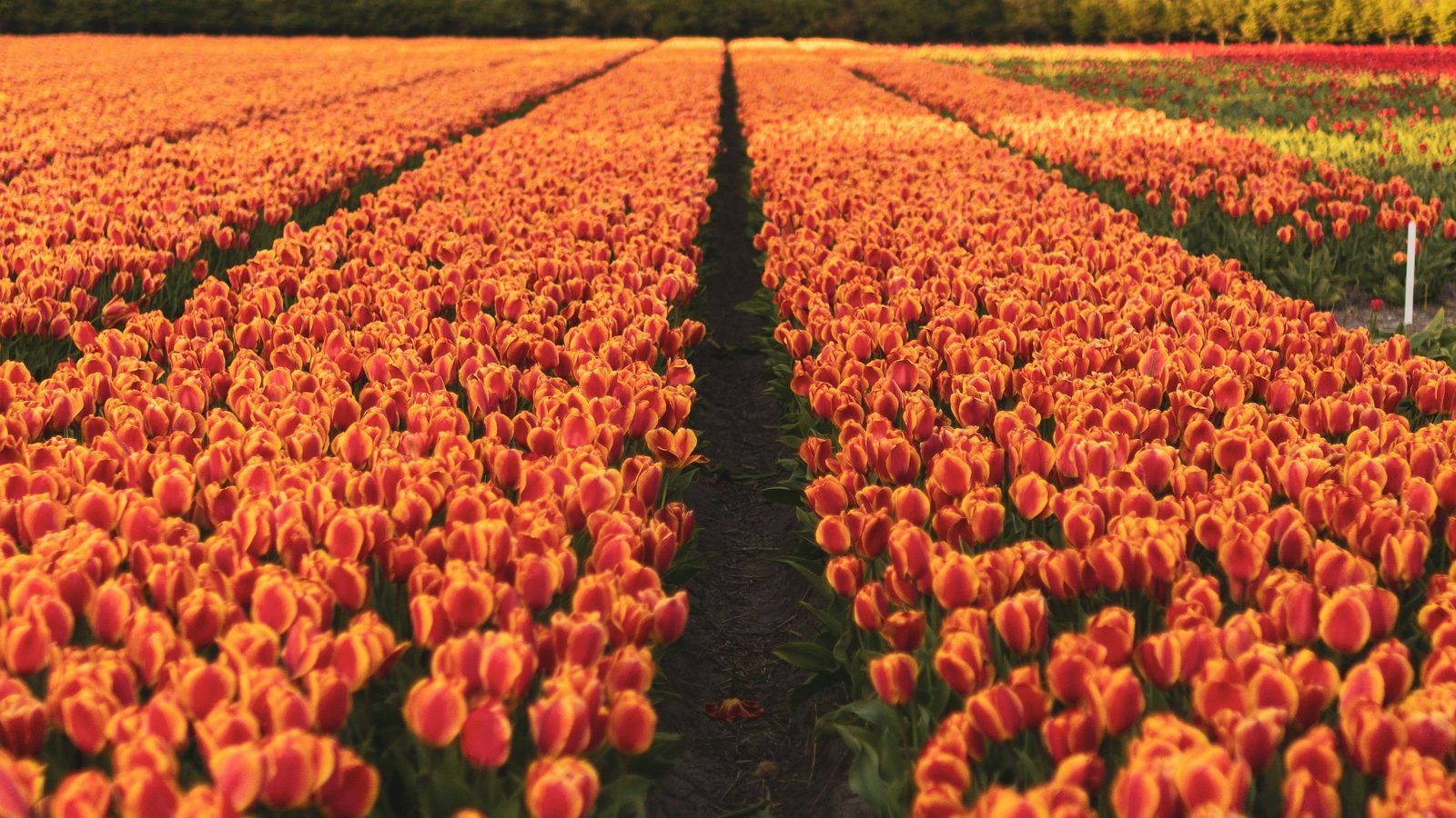 Clémence Taillez on Unsplash