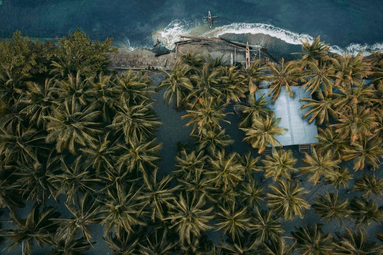 Fleuve Sepik