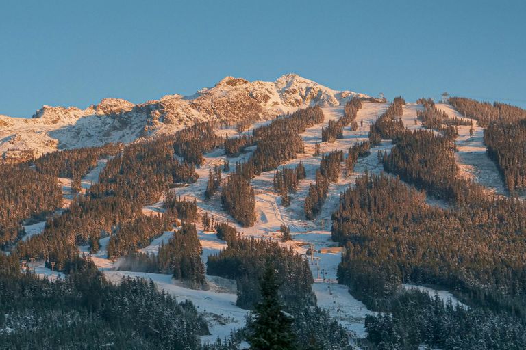 Whistler