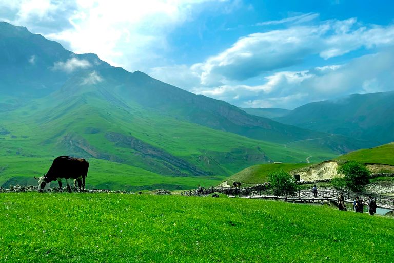 Gabala