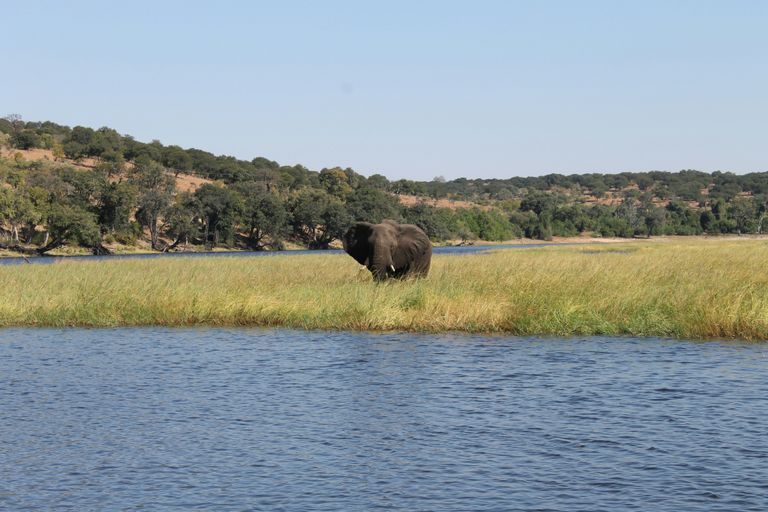 Parc Lower Zambezi