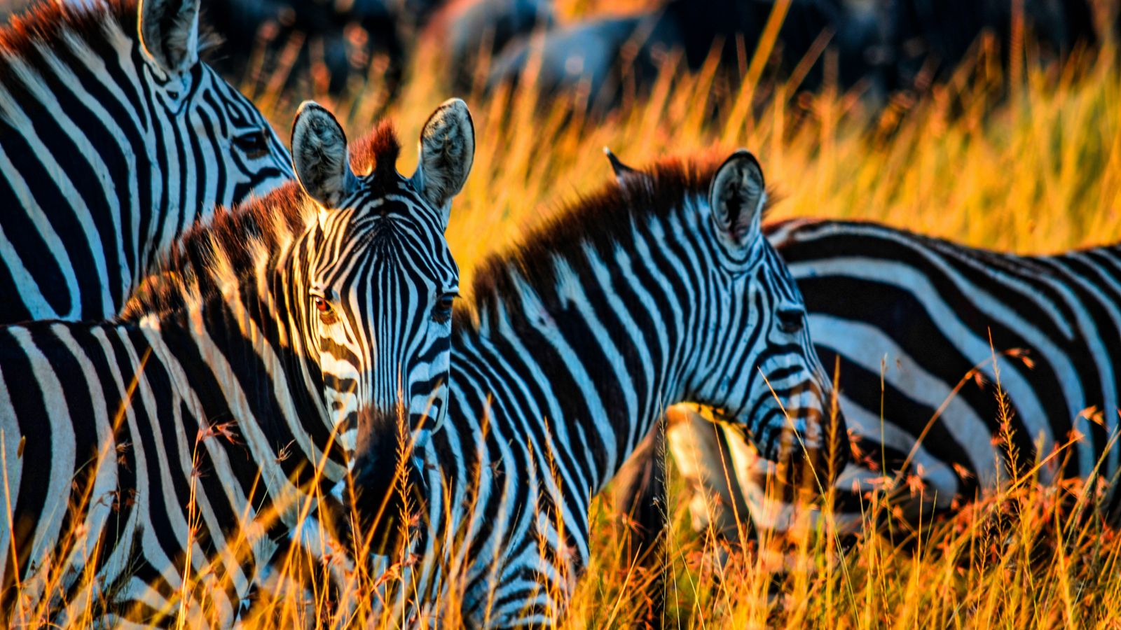 Bibhash Banerjee on Unsplash
