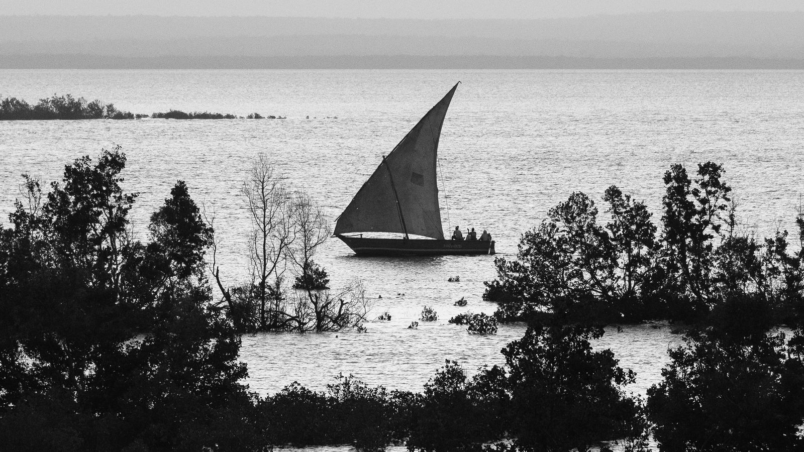 Dimitry B on Unsplash