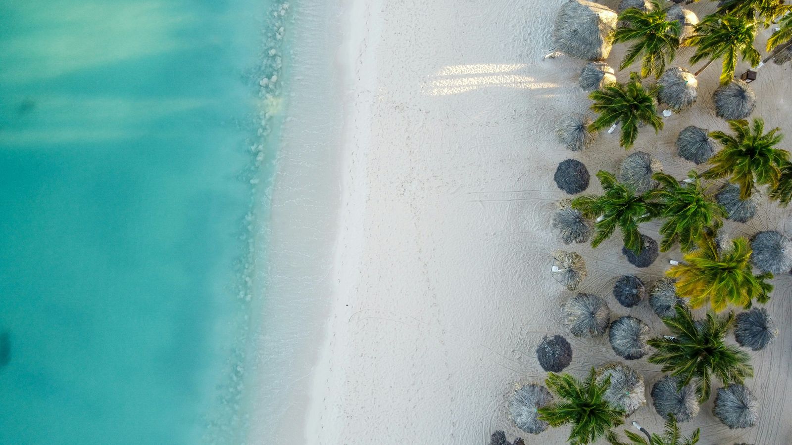 Lex Melony on Unsplash