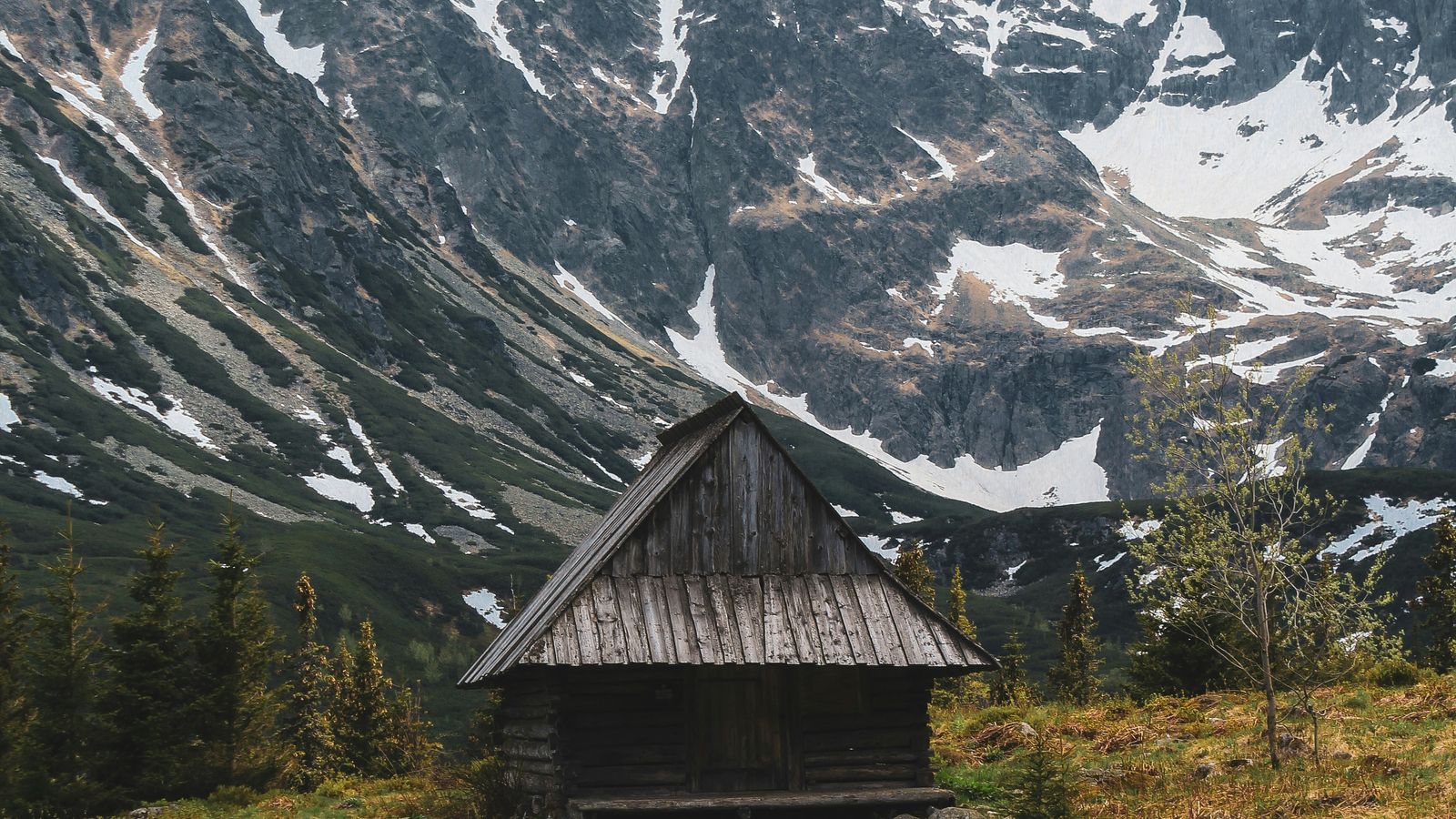 Bianca Fazacas on Unsplash