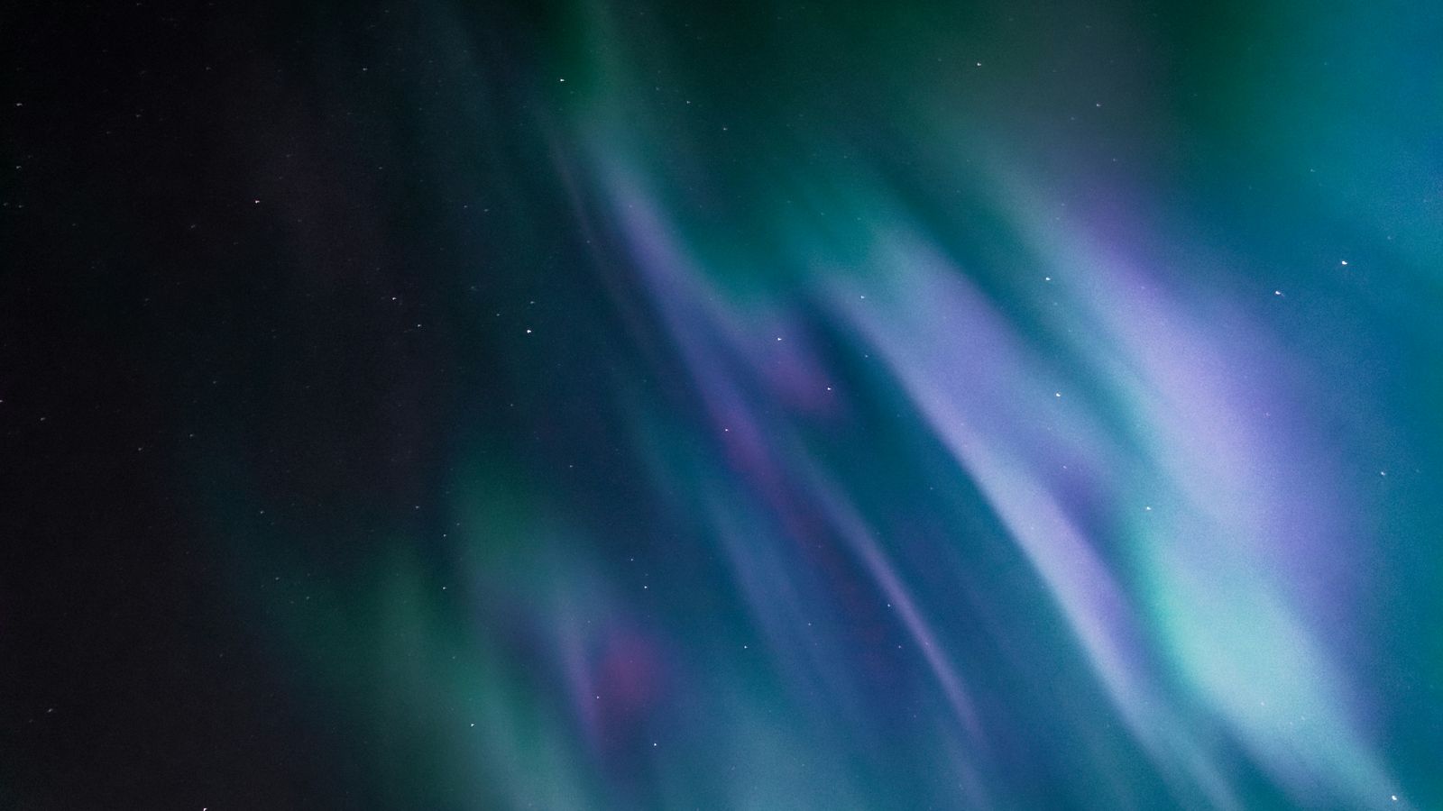 Condor Wei on Unsplash