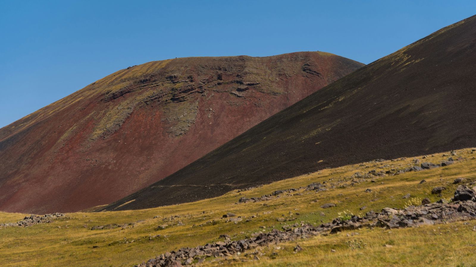 Ani Adigyozalyan on Unsplash