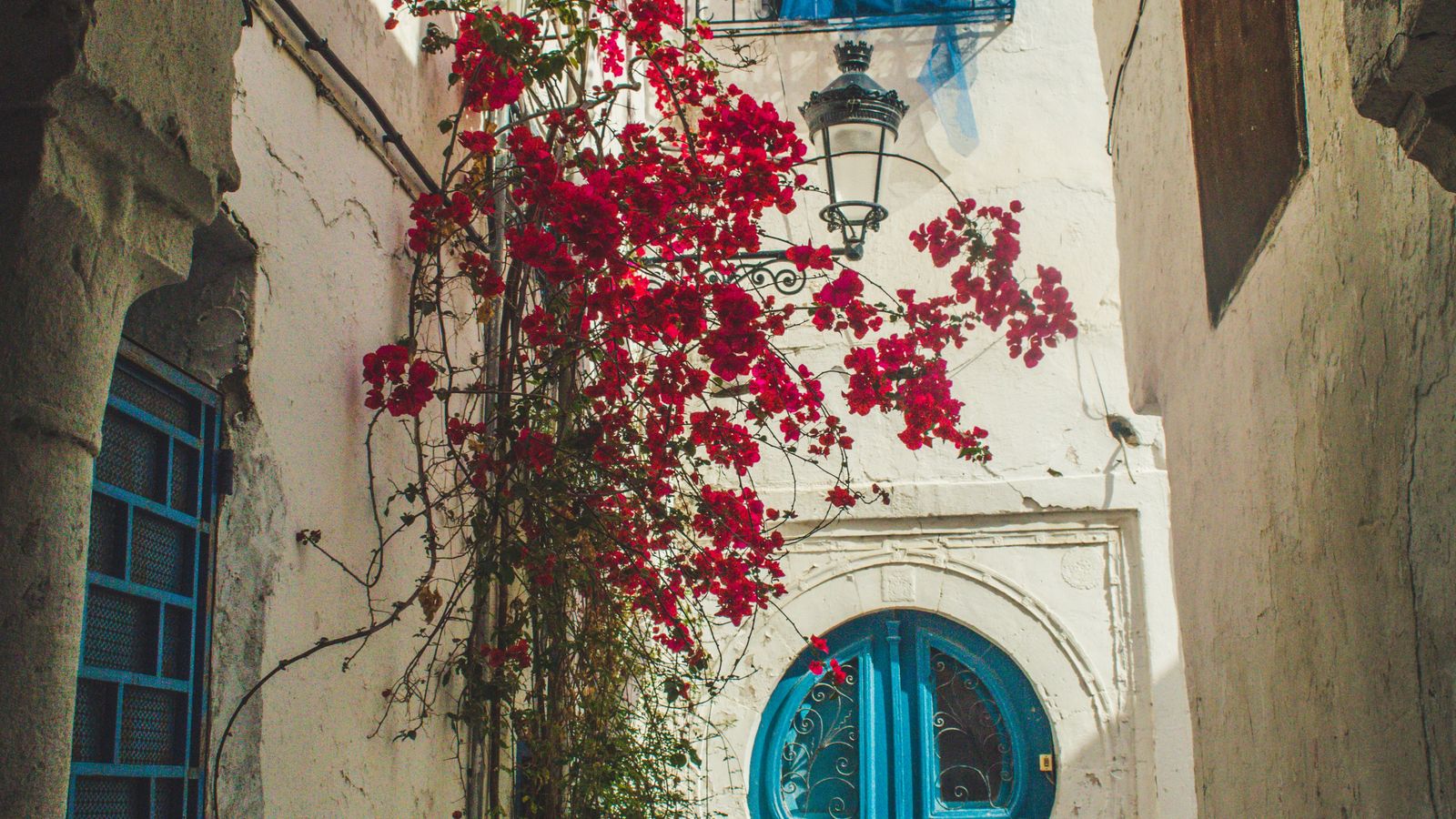 Chermiti Mohamed on Unsplash