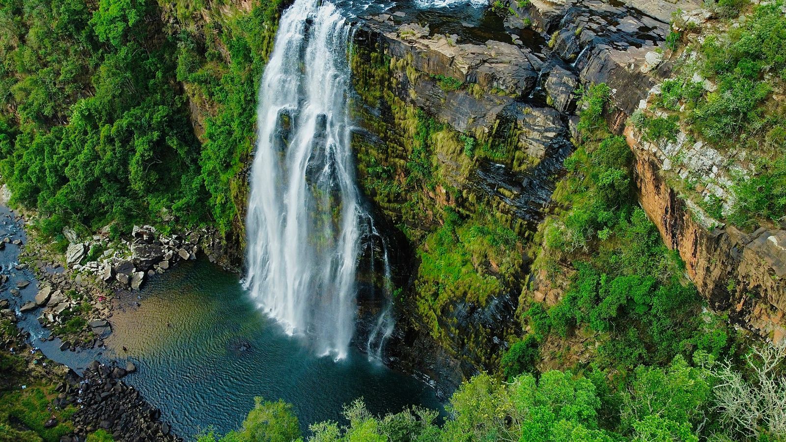 IPICS_SA Chikane on Unsplash