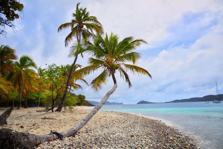 Mayreau