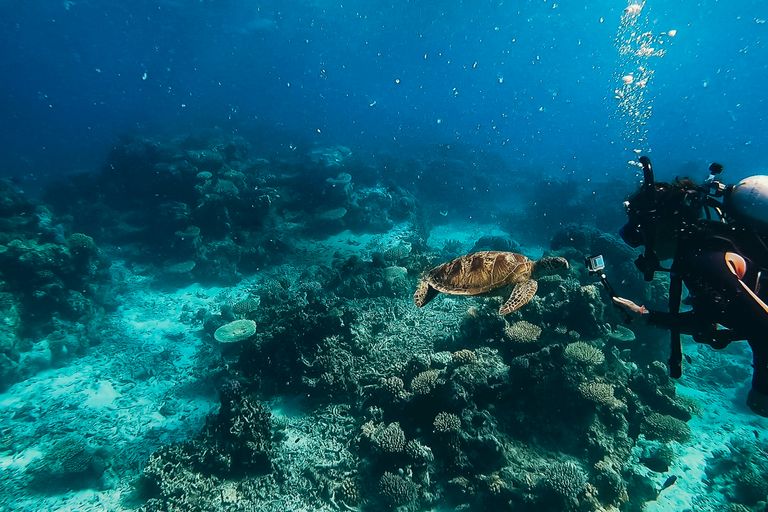 Cairns / Grande Barrière de Corail