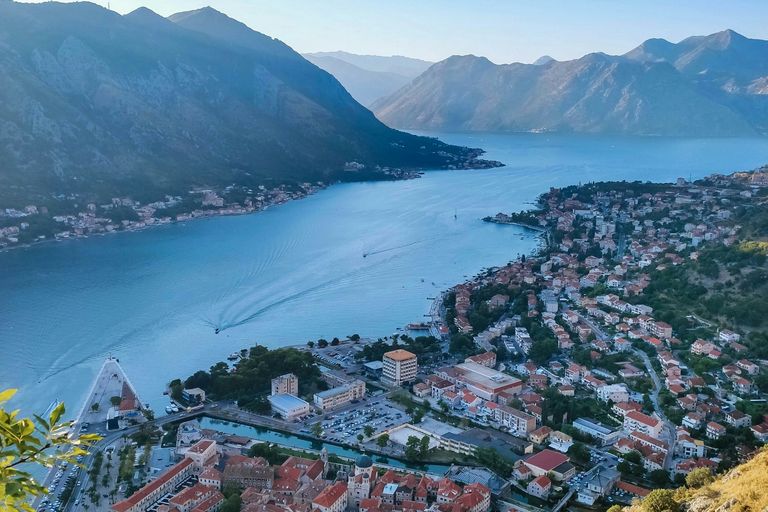 Kotor