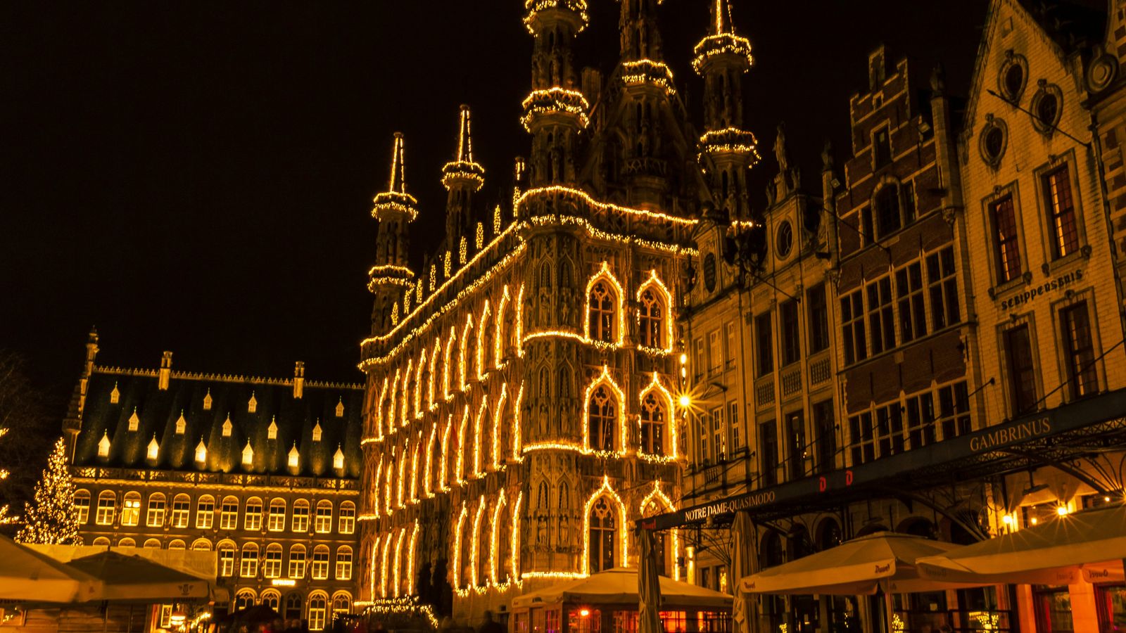Thomas Bormans on Unsplash