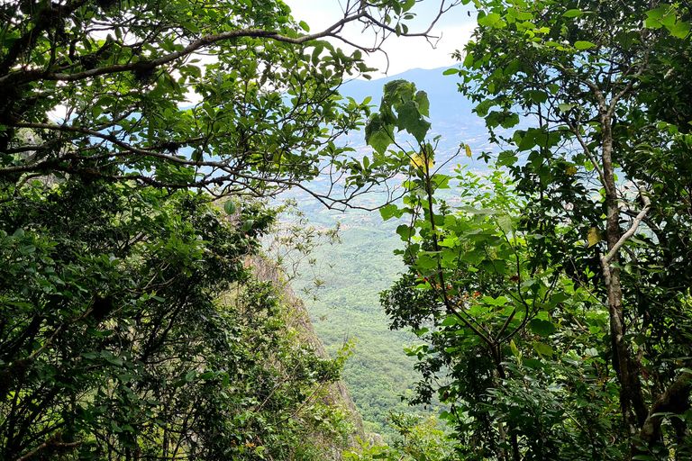 Parc national de Taï