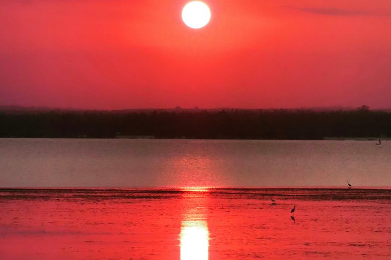 Diani / Mombasa
