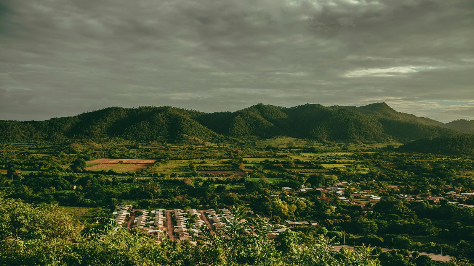 Alessandro Rodriguez on Unsplash