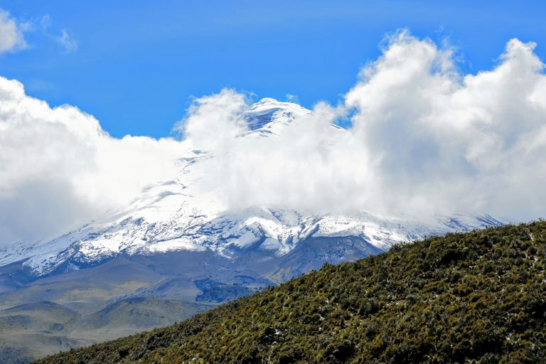 Avenue des Volcans / Cotopaxi