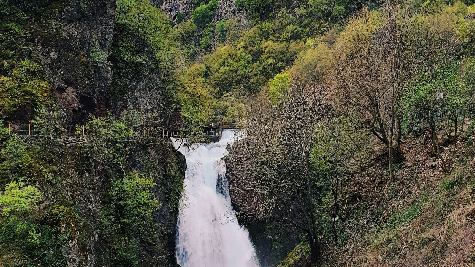 Toksot on Unsplash
