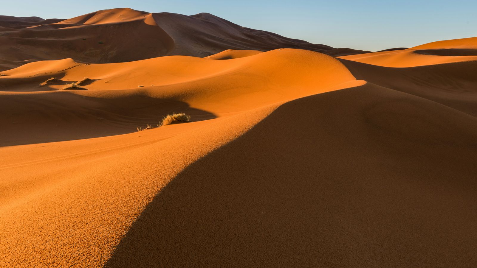 PhotoHound on Unsplash