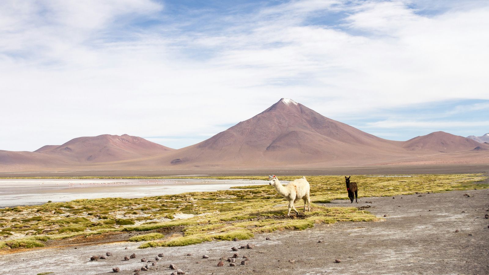 Andrea Huls Pareja on Unsplash