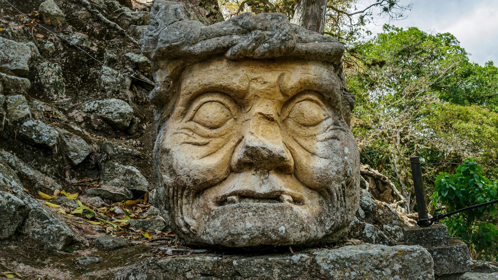 Alexander Schimmeck on Unsplash