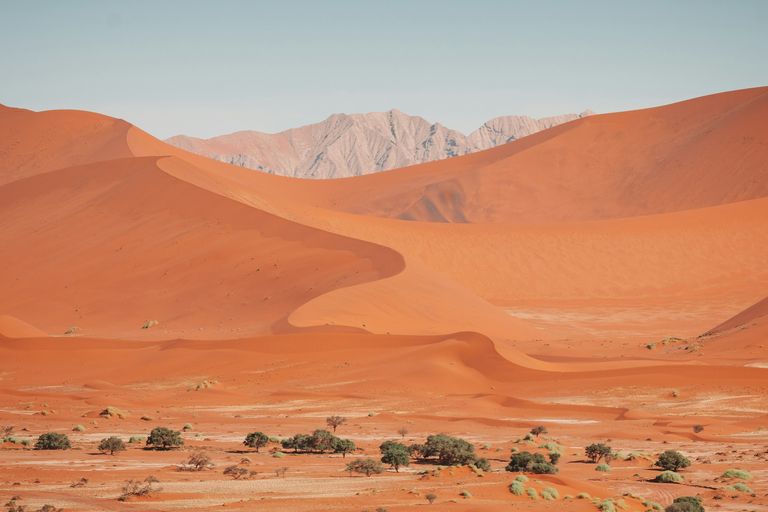 Sossusvlei / Namib