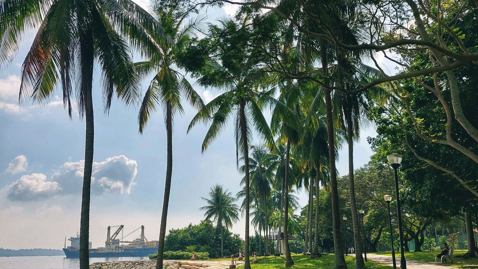 Joylynn Goh on Unsplash