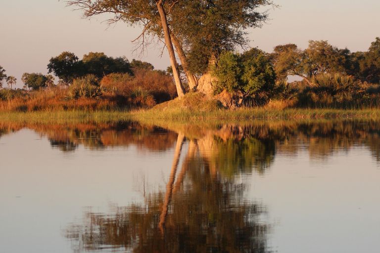 Delta de l'Okavango