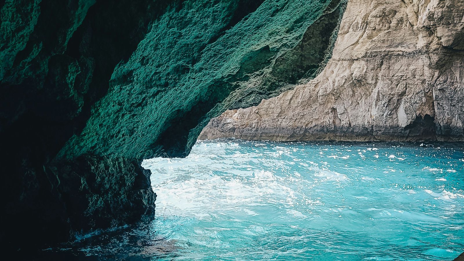 Spruce on Unsplash