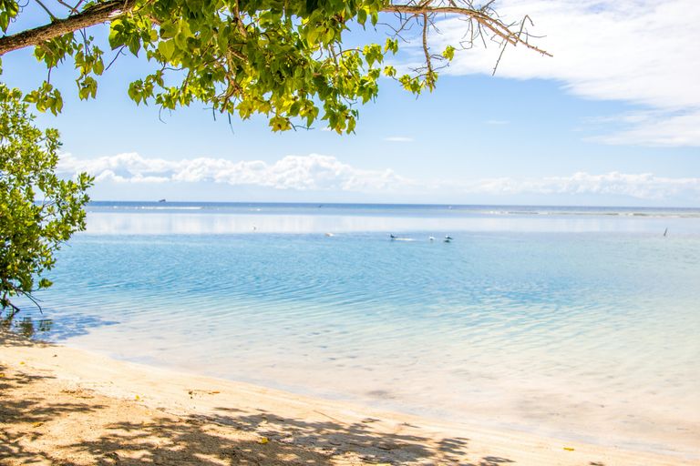 Utila