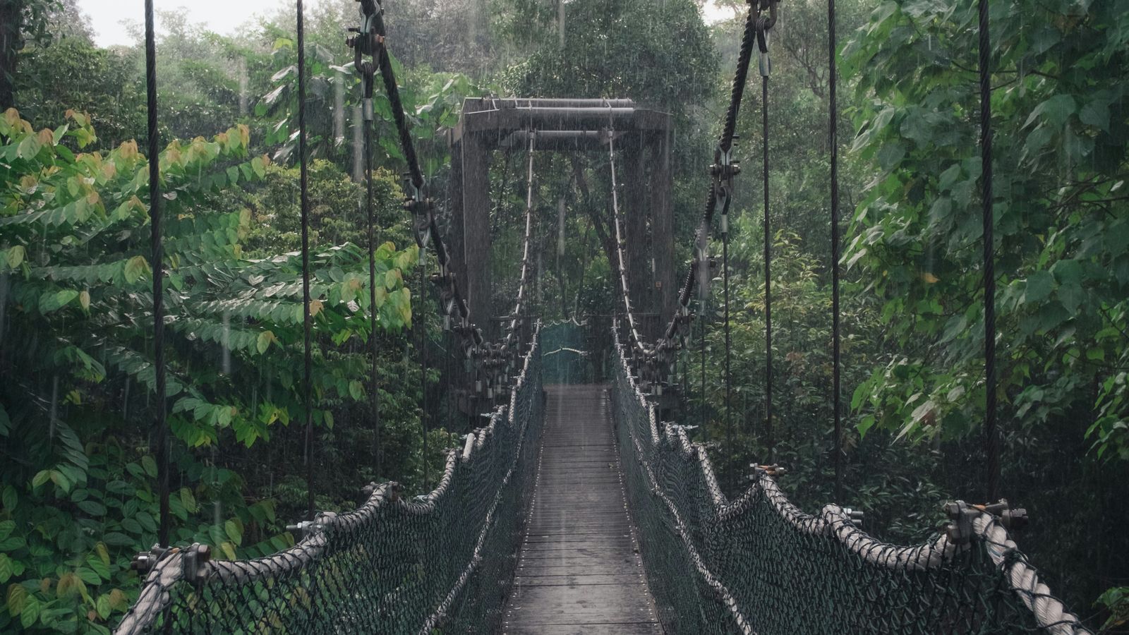 Moritz Karst on Unsplash