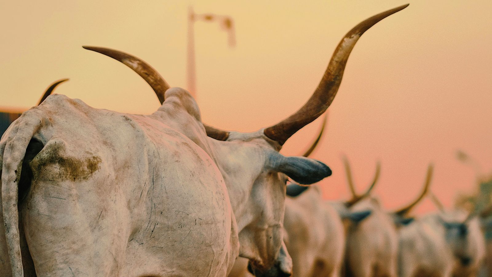 Habila Mazawaje on Unsplash