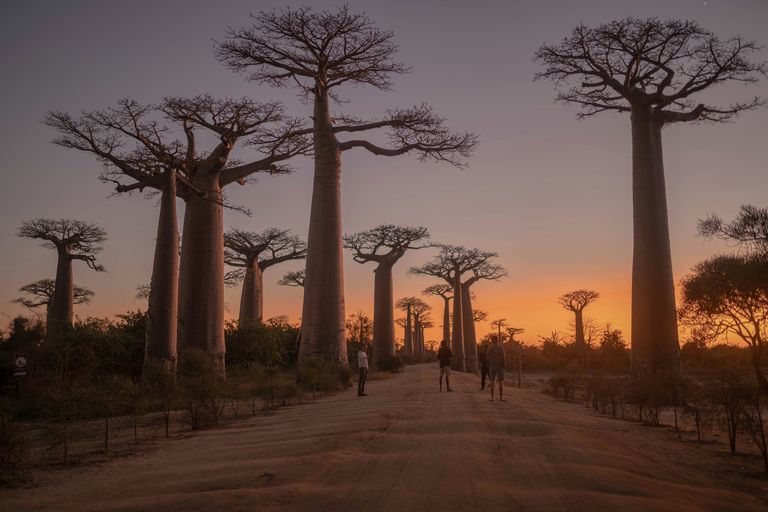 Morondava