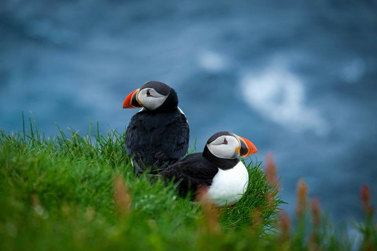 Mykines