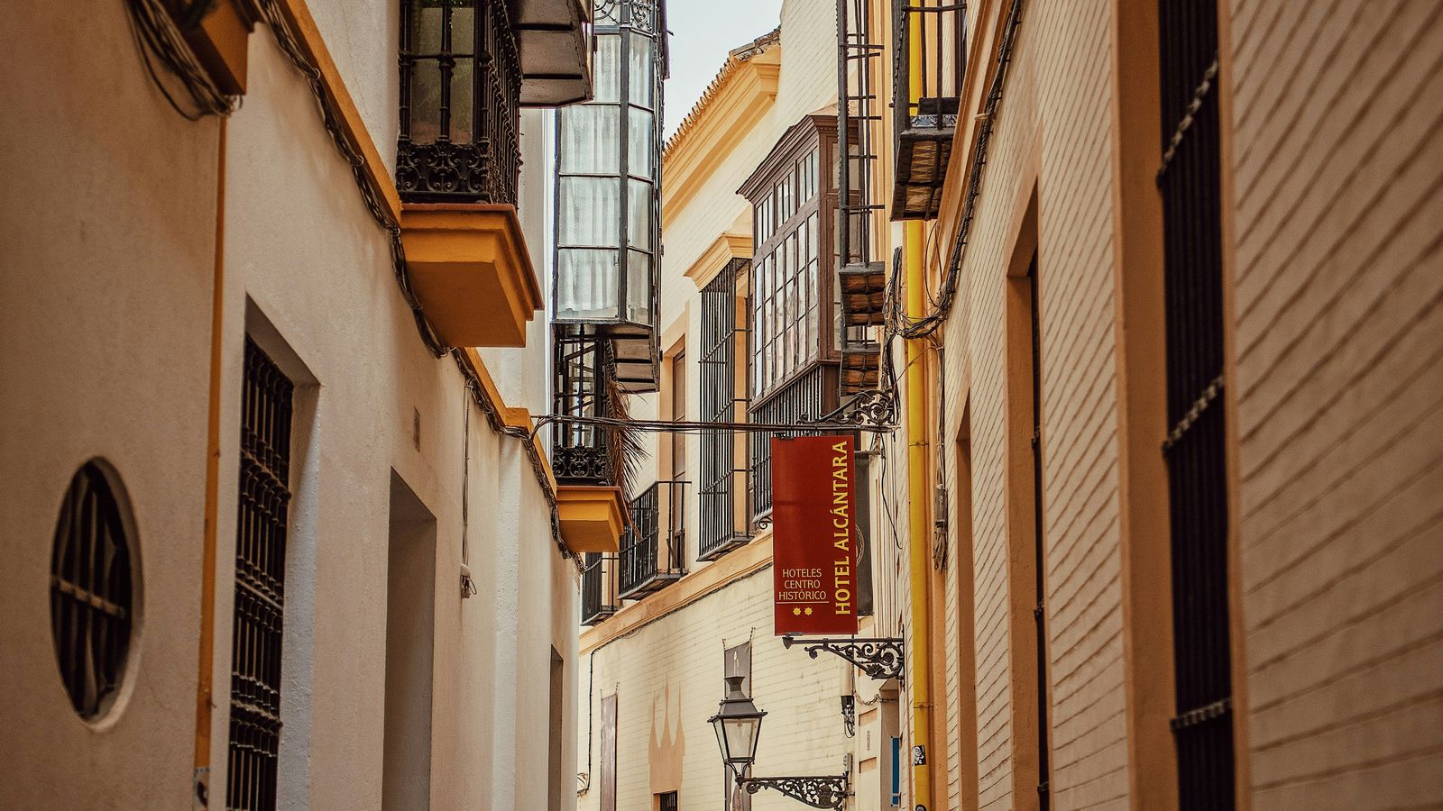 Tânia Mousinho on Unsplash