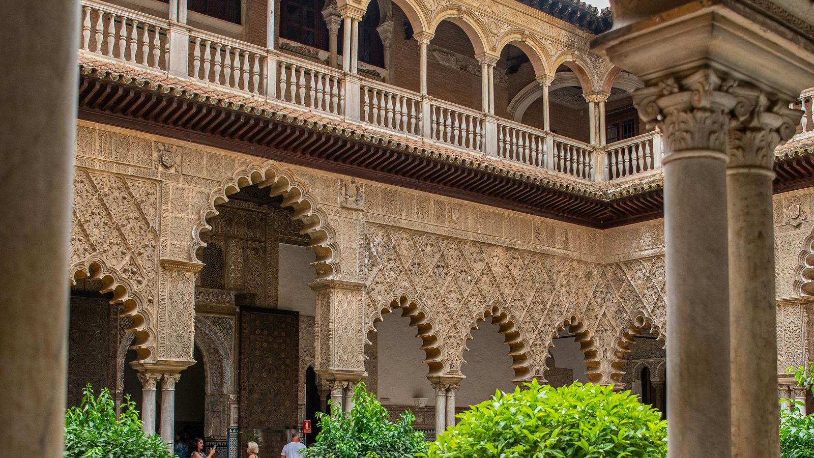 Tânia Mousinho on Unsplash