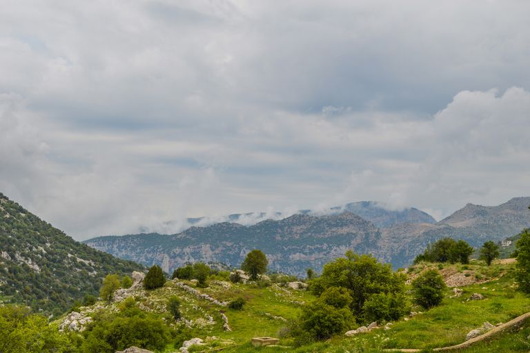 Vallée de la Bekaa