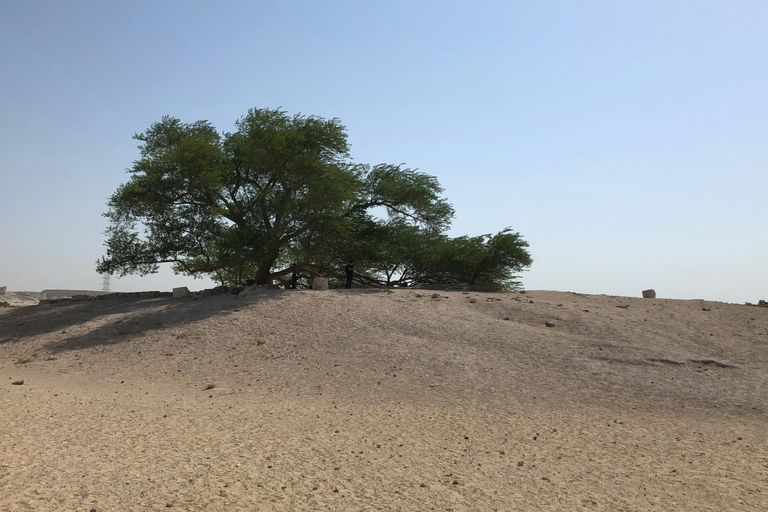 Sakhir