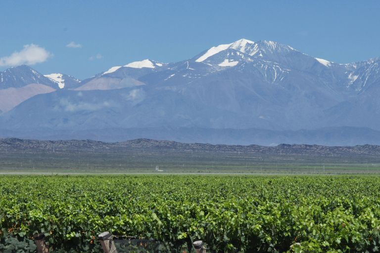 Mendoza