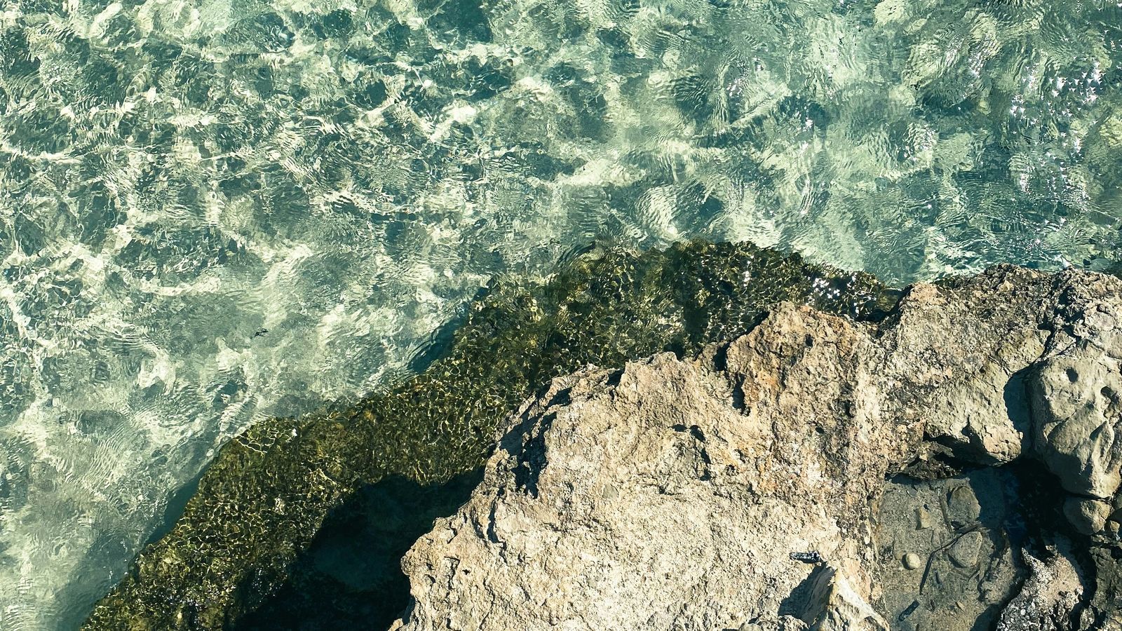 Ivan Rohovchenko on Unsplash