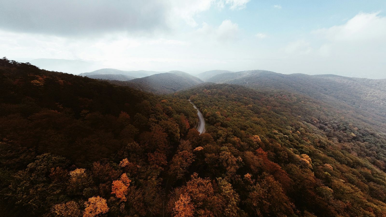 B on Unsplash