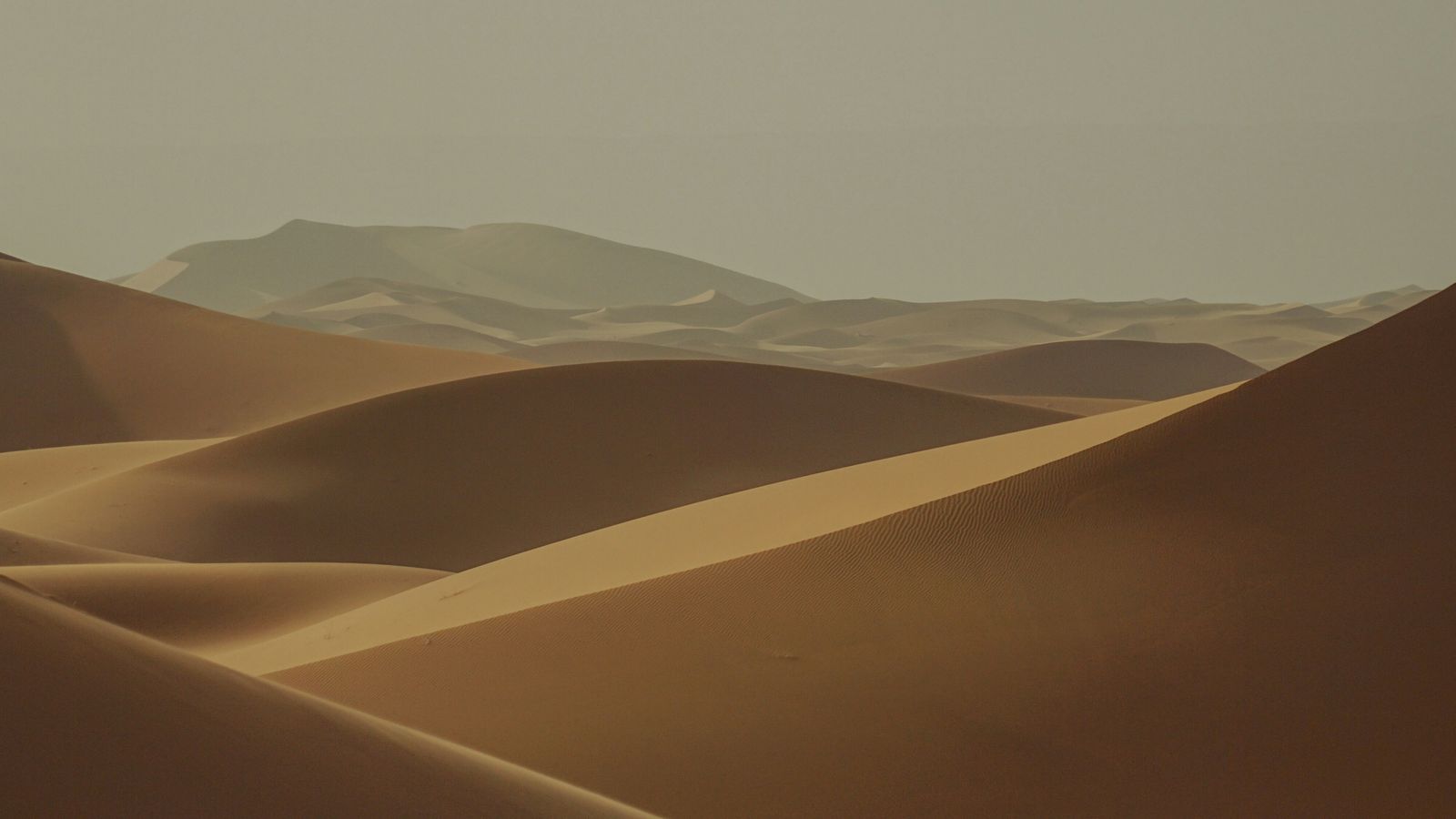 sander traa on Unsplash