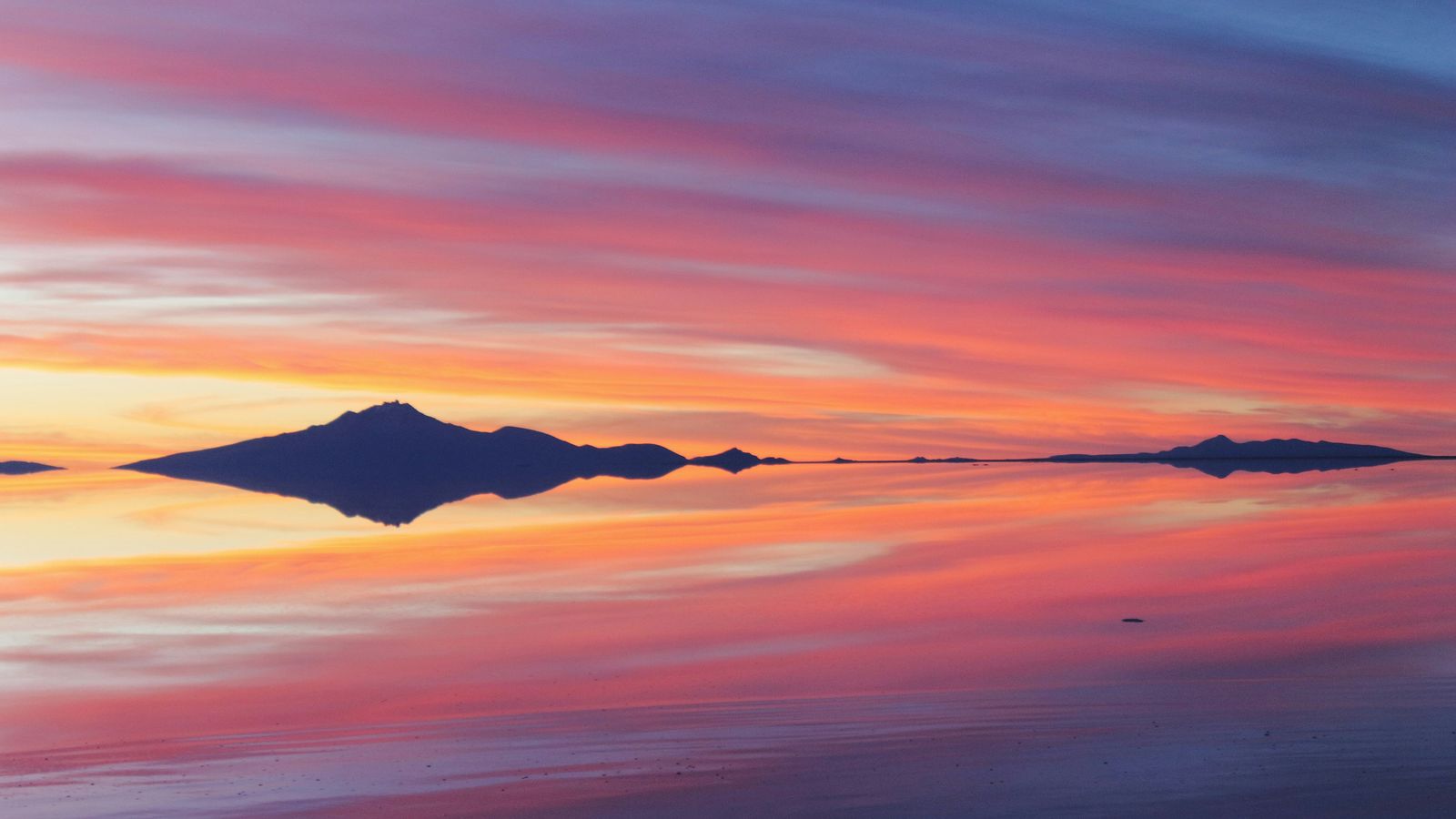 Karla Robinson on Unsplash